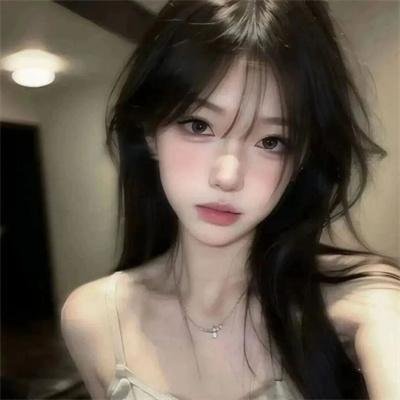 暴风雪中的白鸟